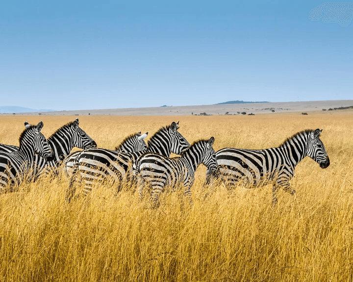 A Simplified Guide to AI Governance in Africa