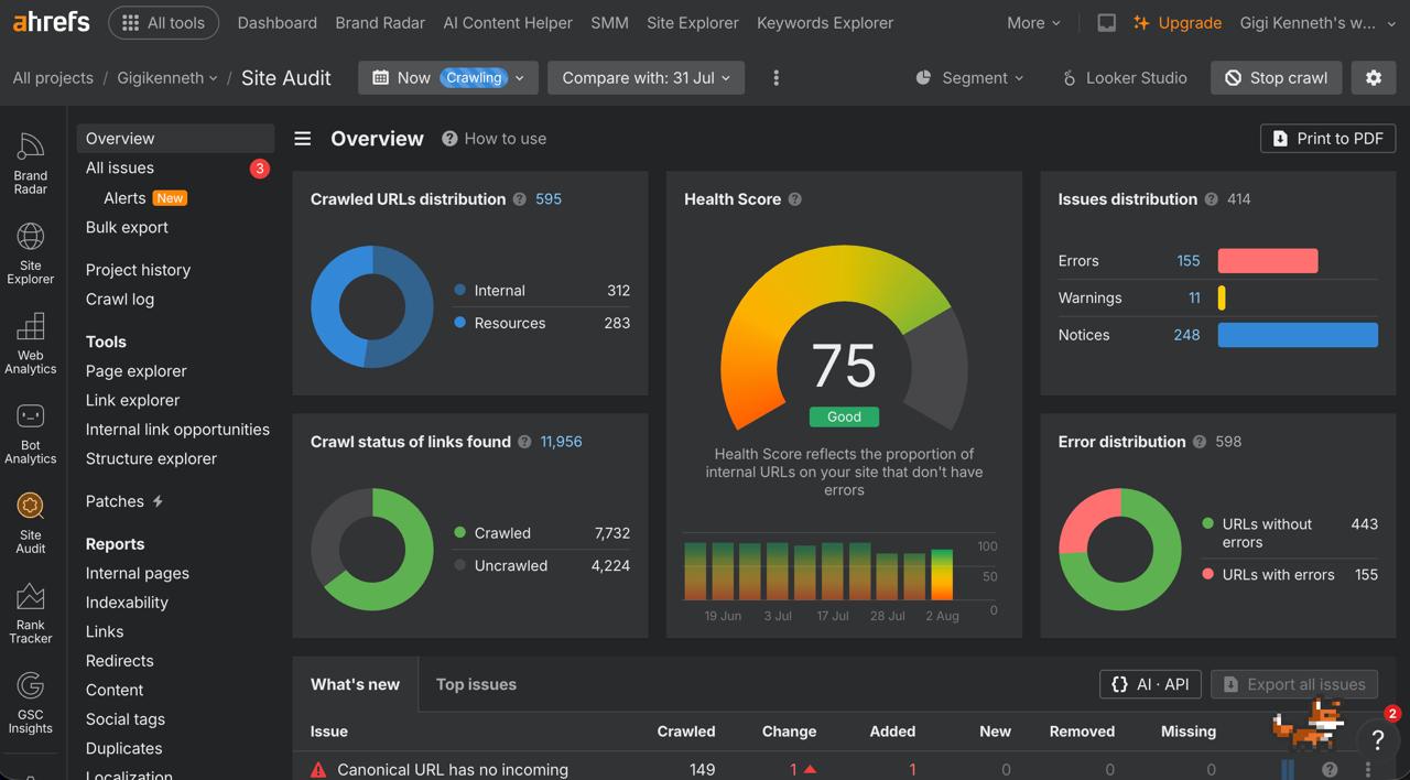 Ahrefs Site Audit dashboard showing a health score of 75, still with 155 pages carrying an error and the canonical issue unresolved.